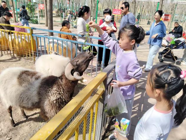 能源部第一季度“正定塔元同福智慧農(nóng)場-動物園”兩日游團建活動